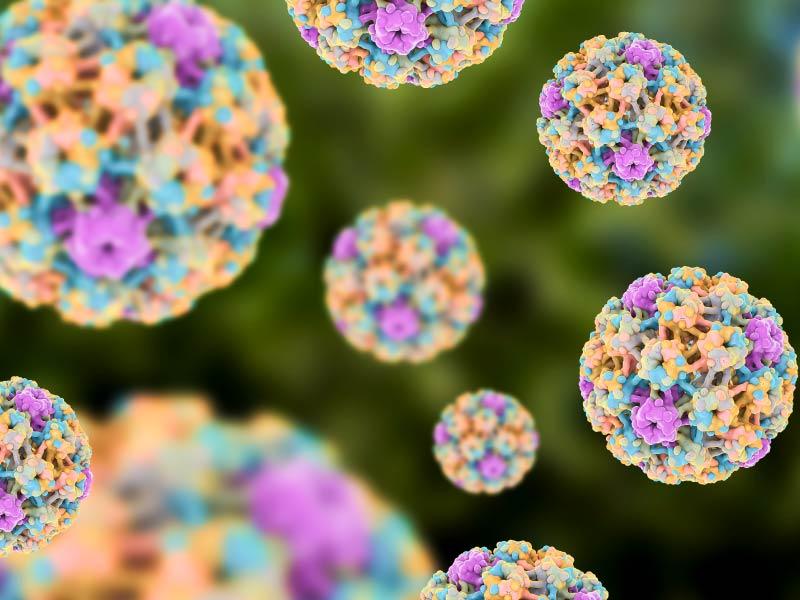 HPV virus. (Kateryna Kon/科学图片库，盖蒂图片库)